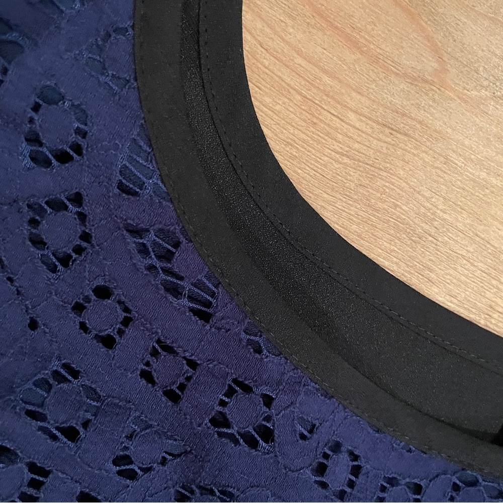 Ann Taylor Loft Deep Purple Lace Sleeveless Cami Business Blouse Lined Suits M - Picture 3 of 10